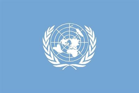 BANDIERA ONU CM.70X100 P.N.