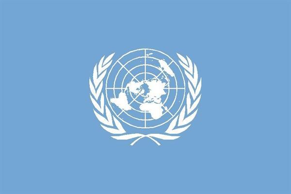 BANDIERA ONU CM.70X100 P.N.