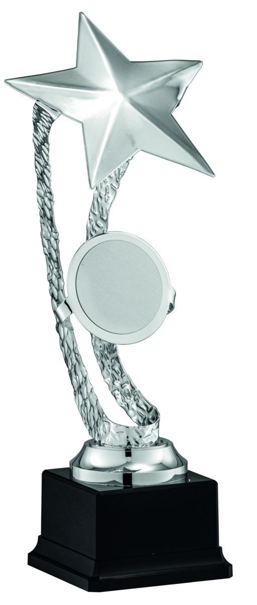 COPPA SPORTIVA LASER ARGENTO Ø 13 h.34
