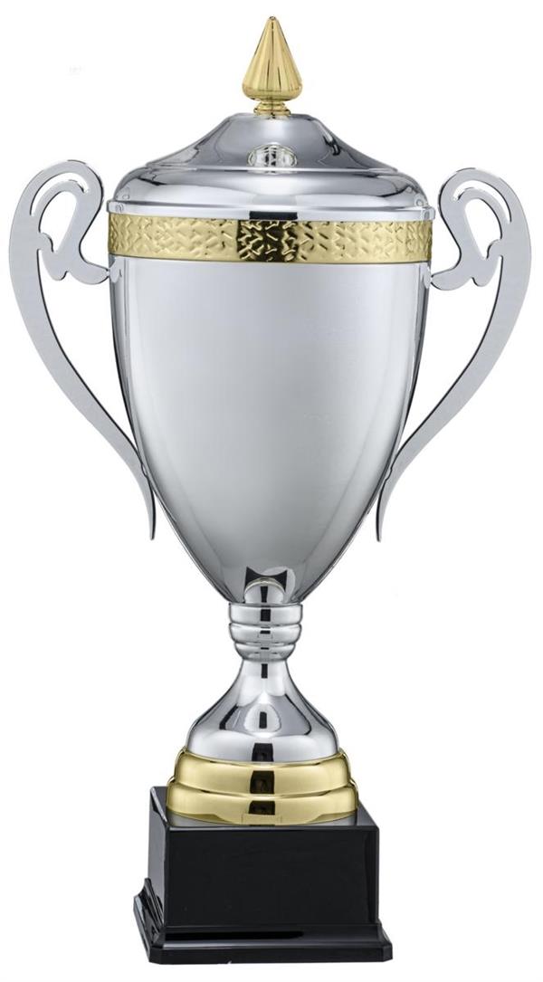 COPPA SPORTIVA ARG/ORO H.59 Ø 20