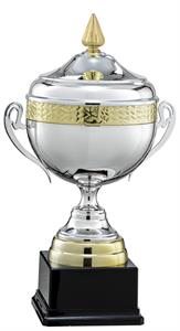 COPPA SPORTIVA ARG/ORO H.46 Ø 20