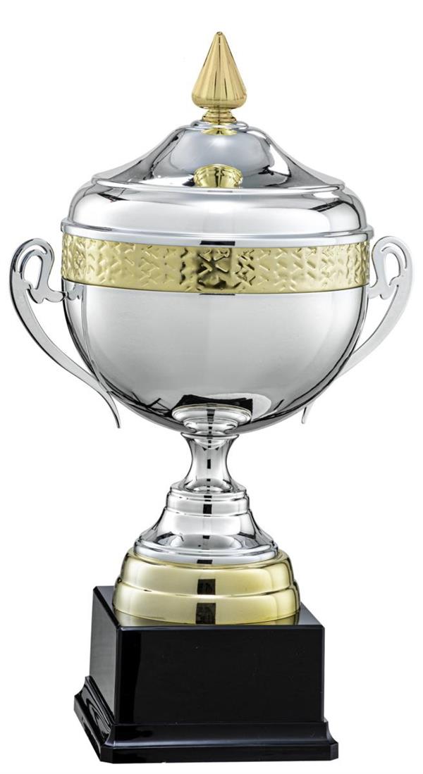 COPPA SPORTIVA ARG/ORO H.46 Ø 20